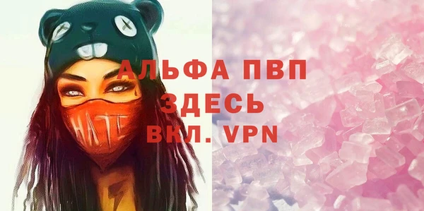 эйфоретик Богданович
