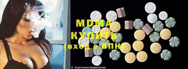 МДПВ Бородино