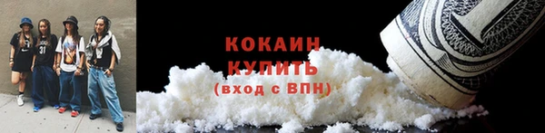 эйфоретик Богданович