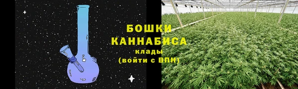 ALPHA PVP Богородицк